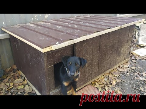 БУДКА ДЛЯ СОБАКИ.Двухкомнатная УТЕПЛЁННАЯ будка для собаки🐶своими руками.