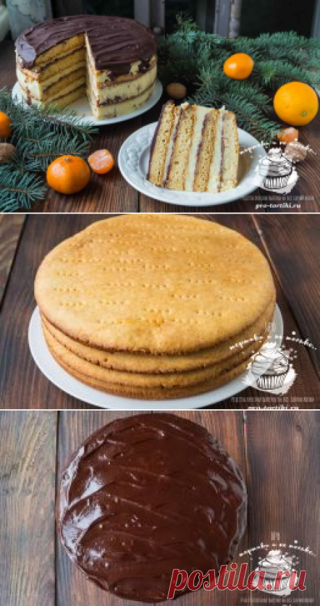 Торт Стефания - вкуснейший рецепт приготовления с фото и видео