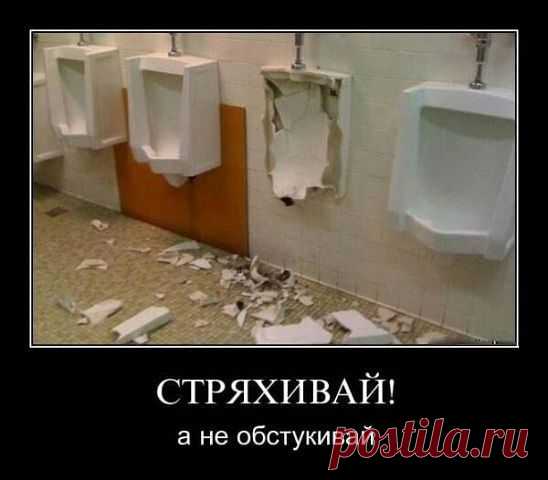 Анекдоты, приколы, картинки. Нарыто и натырено | Смехопанорама