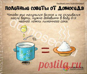Полезные советы от Домоседа