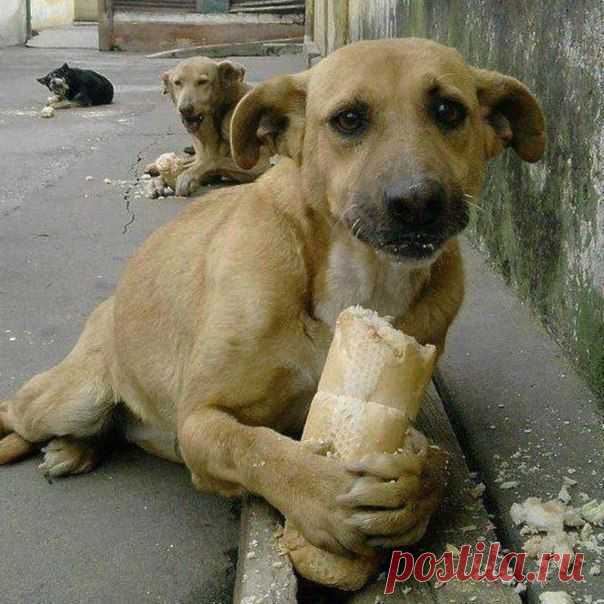 Больше, чем просто фотография