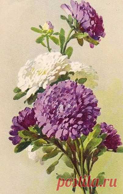 Pinterest