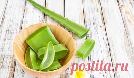 Вросший ноготь: 10 народных средств избавления от проблемы