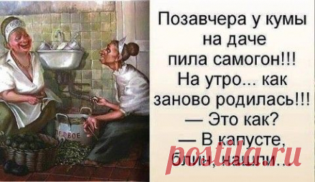 Анекдоты и шутки про нашу жизнь