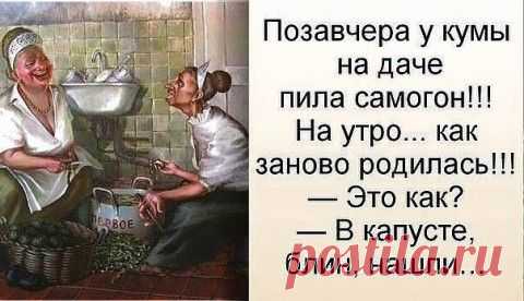Анекдоты и шутки про нашу жизнь