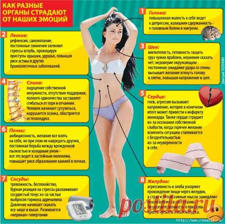 Здоровье | Записи в рубрике Здоровье | Дневник Евгения_Дугина