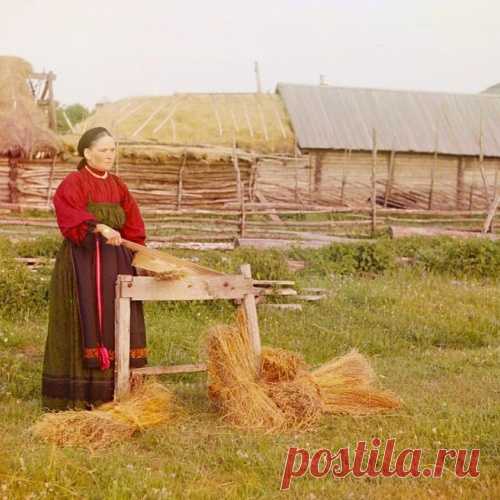 Генетические корни русских. Что говорят ученые