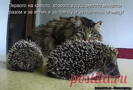 отомщу....