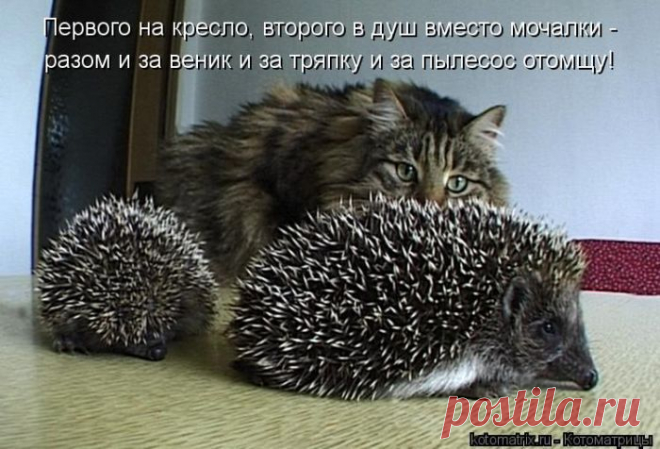 отомщу....