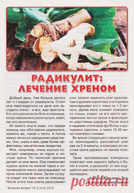Радикулит: лечение хреном