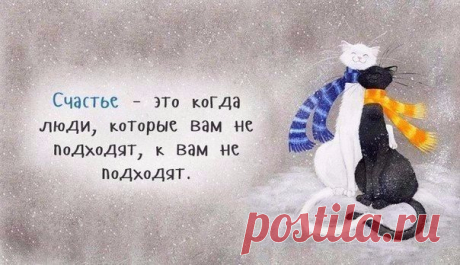 РОЗОВОЕ НАСТРОЕНИЕ - 28 фото. Фотографии Тамара Колинченко.