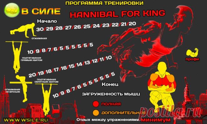 53 тренировочных программы для Начинающих, Продвинутых, Профессионалов и Мастеров от сайта WSILE.RU - WorkOut