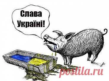 Украинцы странные люди: молятся на Бандеру, работают на евреев, умирают за американцев, а обвиняют во всем Россию"
