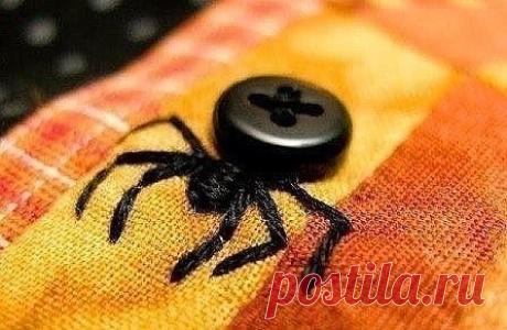 (50) Одноклассники