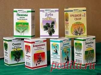 ЛЕЧИМ СЕРДЦЕ ТРАВАМИ 

При гипертонии 

- 2 раза в день съедайте по 1 ч.л. измельченных семян укропа. Забудете о проблемах с давлением. 

При атеросклерозе 

- 1 стол.лож. измельченных корней одуванчика залить стаканом кипятка, процедить. Принимать по 1/4 стакана 3-4 раза в день за 30 минут до еды. 

При сердечной недостаточности 

- 1 ч.л. травы желтушника залить 0,5 стакана кипятка, настаивать 2 часа. Принимать по 1 ст.лож. настоя 3 раза в день в течение 20 дней. 

При з...