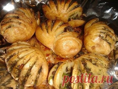 Картошка-гармошка.

Описание: Очень вкусная фаршированная запеченная картошка. Отличный гарнир к любому блюду.

Картофель (молодой, 6 небольших ) — 500 г
Шампиньоны (свежие) — 70 г
Масло растительное
Зелень (укроп, петрушка)
Соль (по вкусу)
Перец черный (молотый, по вкусу)
Приготовление

Грибы мелко порезать, добавить рубленную зелень, слегка присолить и поперчить.

Если картофель молодой, хорошо промыть и не очищать. В каждой картошке сделать глубокие надрезы (не прорезая...