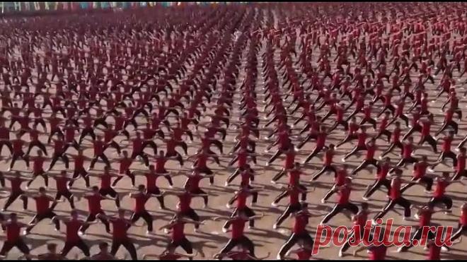 Крупнейшая в мире академия физического совершенства