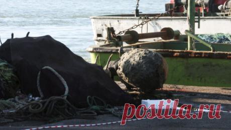 В Турции обезвредили морскую мину, попавшую в сети рыбаков. В районе турецкого черноморского порта Эрегли местные рыбаки обнаружили запутавшуюся в сетях морскую мину. Объект был обезврежен и доставлен на берег для уничтожения, сообщает телеканал Habert &amp; amp;uuml;rk. Происшествие случилось 5 января. ...
