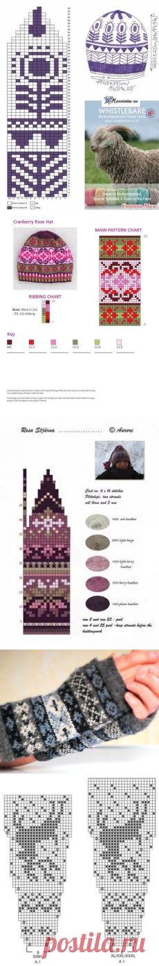 (6) Pinterest