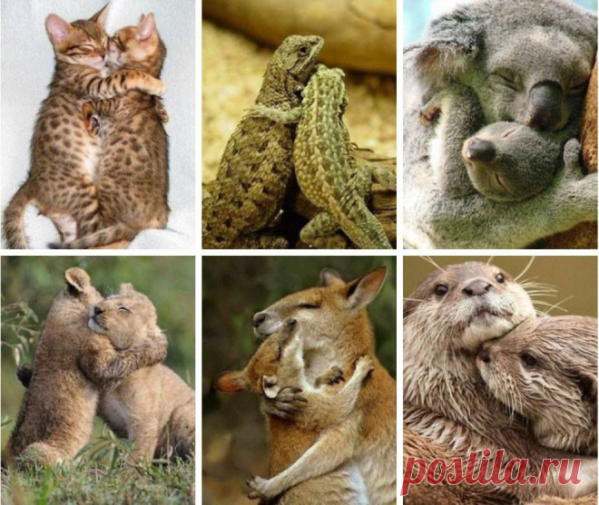 Это чей пушистый луч
Так щекочет из-за туч,
Заставляя малышей
Улыбаться до ушей?