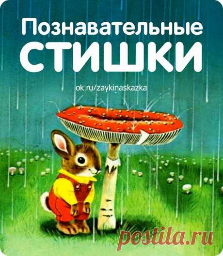 Одноклассники