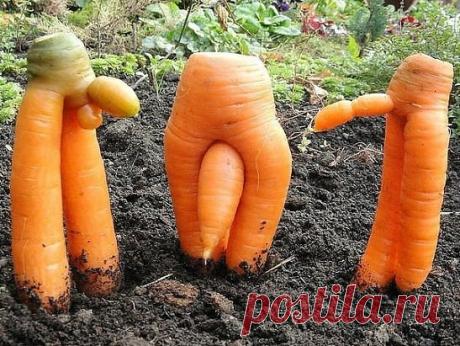 Одноклассники