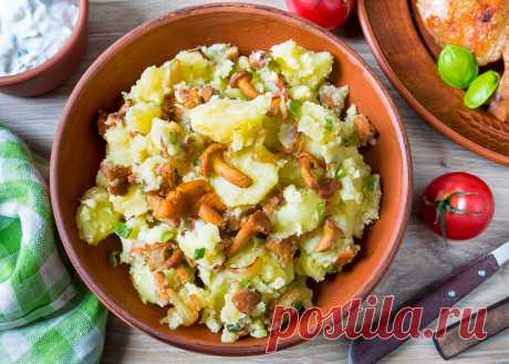 Картофельная толчанка с лисичками на Вкусном Блоге Картофельная толчанка с лисичками - вкусные проверенные рецепты, подбор рецептов по продуктам, консультации шеф-повара, пошаговые фото, списки покупок на VkusnyBlog.Com