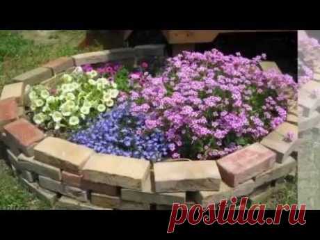 Клумбы в саду . Фото. - YouTube