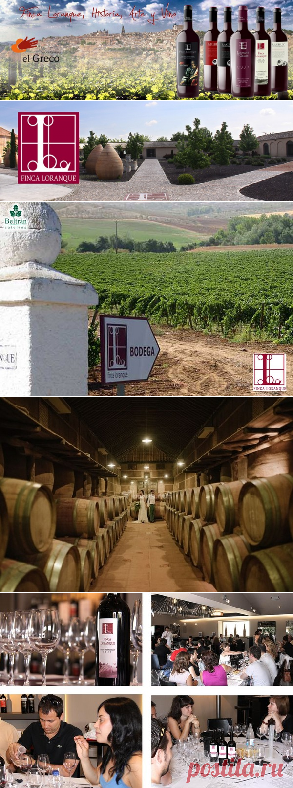 Винные экскурсии из Мадрида, дегустация вина , посещение винотеки в городе Толедо , 5 типов вина и тапас (закуски) зоны Ла Манча La Mancha