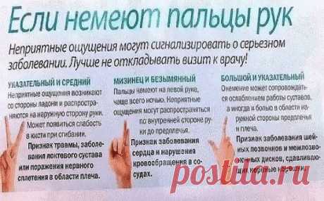 (АСЛ-О) отражает иммунологическую реактивность по отношению к стрептококковой инфекции. Увеличение титра АСЛ-0 наблюдается у больных ревматизмом, инфекционно-аллергическим полиартритом.