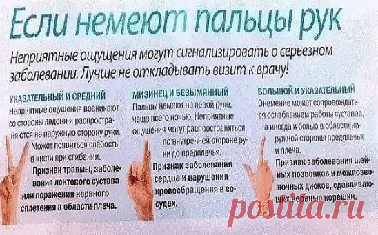 НАРОДНЫЕ СРЕДСТВА ПРОТИВ ОНЕМЕНИЯ РУК И НОГ
Онемение рук — симптомы, которые могут сопровождать различные заболевания.Поэтому очень важно сделать обследование и выявить причину онемения рук. Артрит, артроз, остеохондроз….
Причин может быть множество. Онемение рук сопровождают боли, которые порой невыносимы.
Народная медицина советует облегчить недуг с помощью простых и доступных средств.
Фитоте
