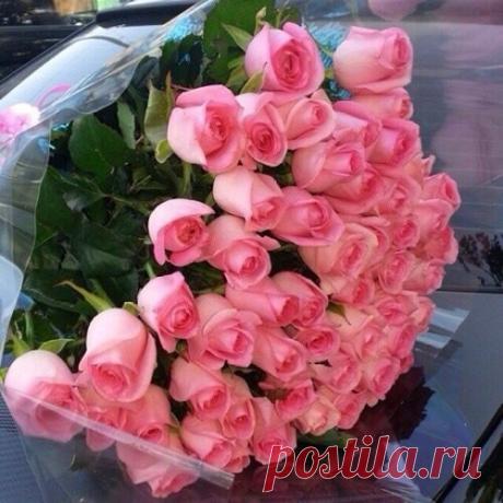 Пусть у каждого из вас всё в жизни сложится,
Меньше в жизни вашей будет бед и слез,
И, конечно, вам по жизни будет спутницей
Ваша Вера, и Надежда и Любовь!
Пусть у каждого удача и везение,
И поменьше огорчений и тревог,
Много радостей фортуны переменчивой,
И здоровья пусть пошлет вам сам Господь!