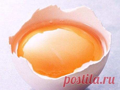 БЛОГ ПОЛЕЗНОСТЕЙ: ТЫКВЕННО-ЖЕЛТКОВАЯ СМЕСЬ ОТ ПОЛИПОВ