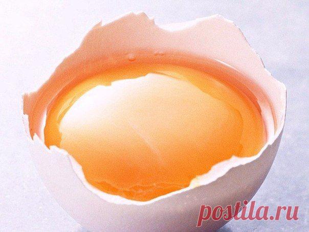 ТЫКВЕННО-ЖЕЛТКОВАЯ СМЕСЬ ОТ ПОЛИПОВ
Философия красоты и здоровья