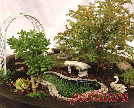 из The Mini Garden Guru - Your Miniature Garden Source 
An Inside Peek at the Miniature Plants in the Award-Winning Gardens.  
GORGEOUS little pond with live duckweed - love the edging stones! looks very nice with the jade next to it.  **** MiniGardener - #miniature #fairy #garden #pond - hh  |   Pinterest • Всемирный каталог идей