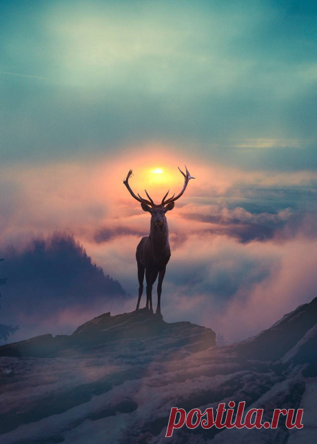 Visual Escape