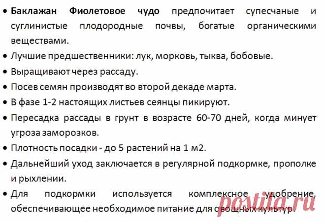 Баклажан Фиолетовое чудо: отзывы, фото, урожайность, характеристика и описание сорта