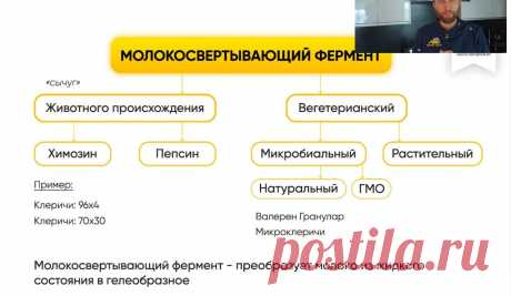 Скриншот-11-08-2025 11:01:10.jpg