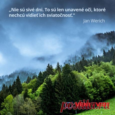 (1) Facebook