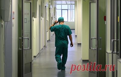 Роспотребнадзор: ситуация по зоонозным инфекциям находится под контролем. Нет оснований, что птичий грипп может вызвать пандемию опаснее COVID-19, отметили в ведомстве