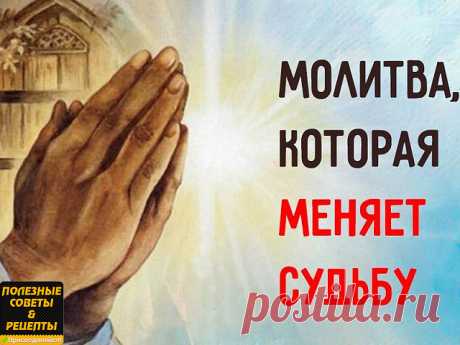 (96) Одноклассники