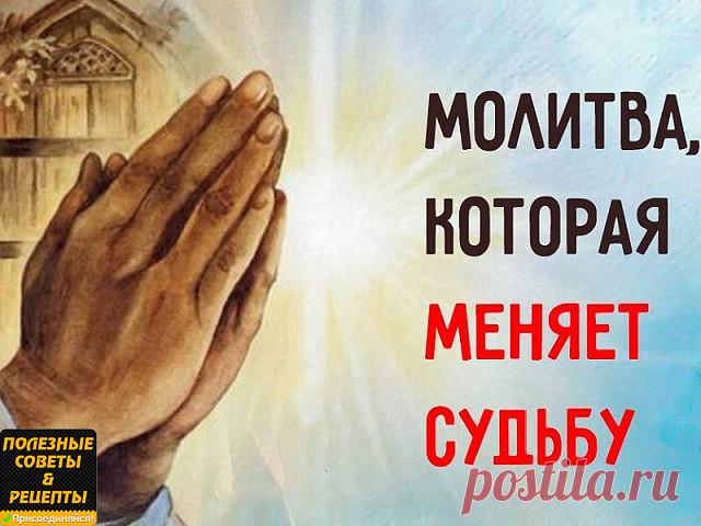 (96) Одноклассники