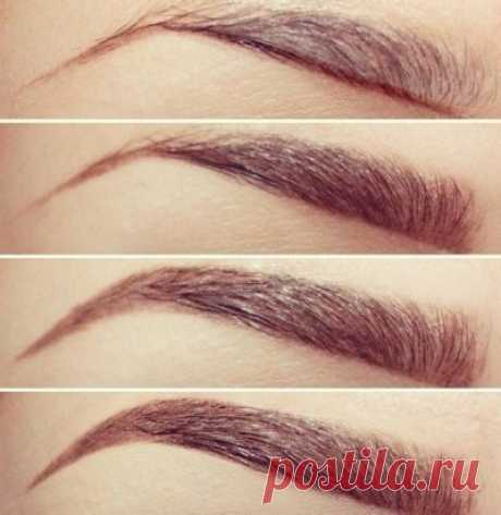 Рисуем брови правильно ☝
Самое распространенное заблуждение в рисовании бровей – выбирать между карандашом и тенями. В идеале следует использовать оба средства:
1. Обозначаем карандашом нижнюю границу бровей.
2. Интенсивно заполняем тенями центральную часть брови и слегка прокрашиваем тенями головку брови скошенной кистью, растушевывая ближе к переносице (это единственное место брови, где не при каких условиях нельзя оставлять резкую границу, если речь идет о макияже для жизни).
3. Дорисовыв