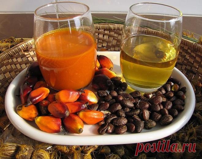 Нам все это время врали о ВРЕДЕ этих продуктов: полезно знать | Диеты со всего света