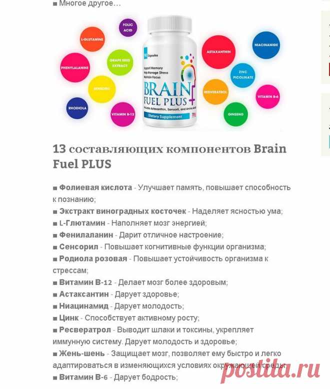 Основные ингредиенты Продукта Брейн Фул Плюс: 
L – Глютамин
Астаксантин
Женьшень
Витамин В-6
Витамин В-12
Ниациномид (Витамин В-3)
Радиола Розовая
Ресвератрол
Сенсорил
Цинк
Фолиевая кислота
Фенилаланин
Экстракт виноградного семени