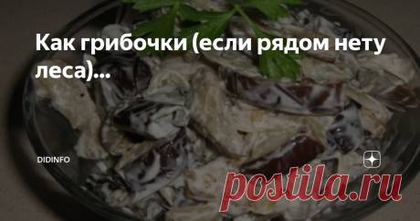Как грибочки (если рядом нету леса)... За лесные грибы могу отдать полцарства. Но сама собирать не умею, а сейчас ещё и живём в таком районе МО, где полно клещей и лишний раз в лес не сунешься (не за себя боюсь, за пёсов, хоть они и обработаны). А у магазина грибы иногда дедули продают, но их почти не застать - дачники сметают мгновенно. В магазине же - шампиньоны и вешенки, а душа иного просит.
Вот и приспособилась я летом, когда
