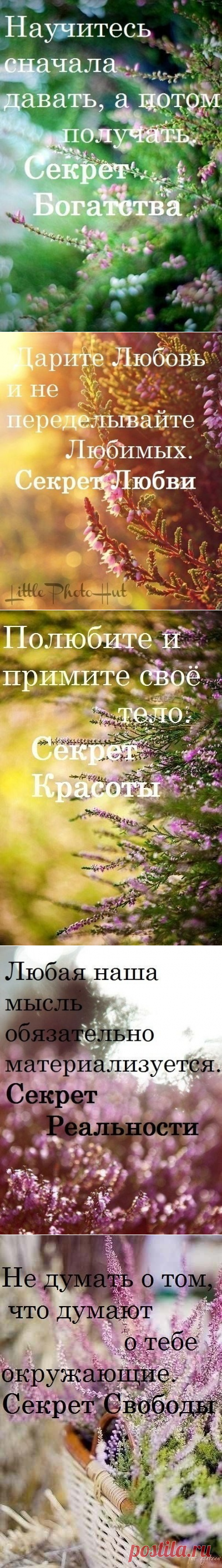 (1) Одноклассники