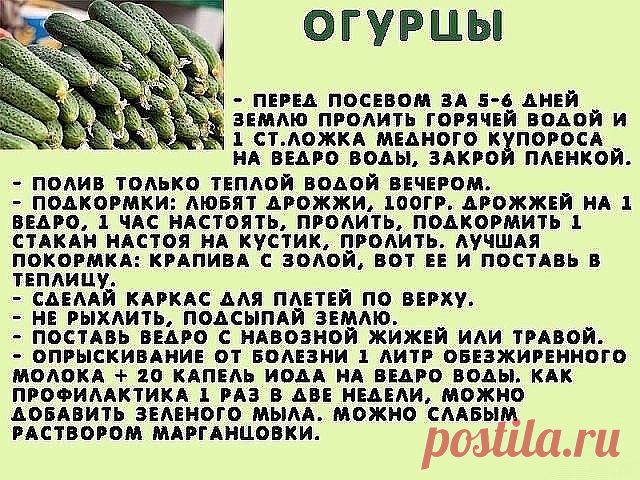 Всем на заметку!