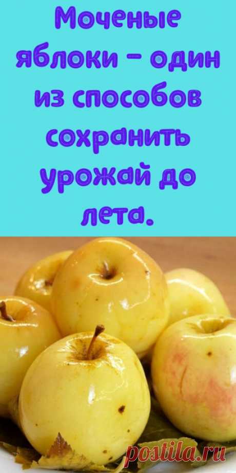 Моченые яблоки - один из способов сохранить урожай до лета. - My izumrud