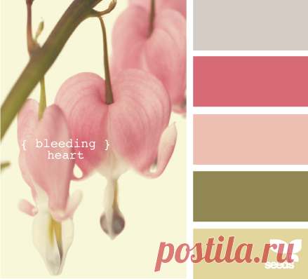 Цветы, деревья — источник вдохновения! | BepHuK собирает друзей